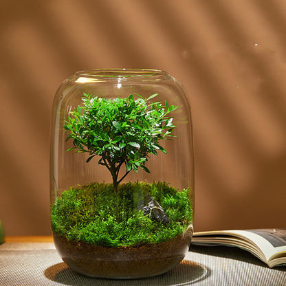 Ecological Bottle Green Moss Micro Landscape Glass Tank